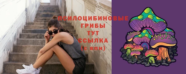 хмурый Алексеевка