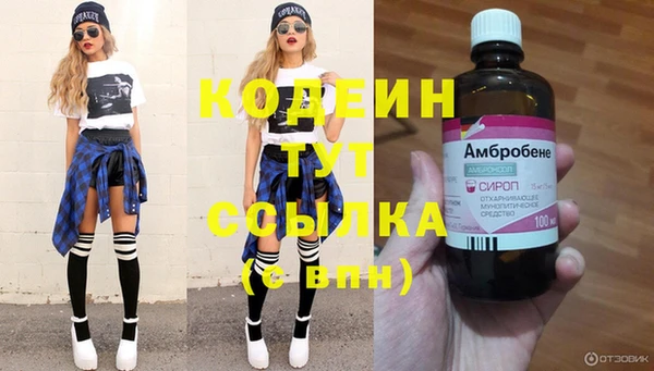 хмурый Алексеевка
