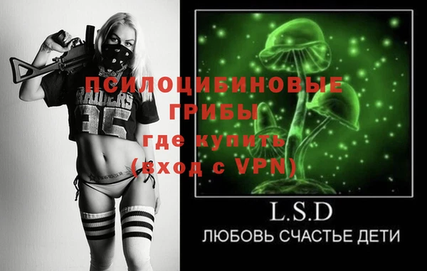 хмурый Алексеевка