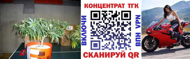 Дистиллят ТГК Wax  купить наркотики цена  Лениногорск 